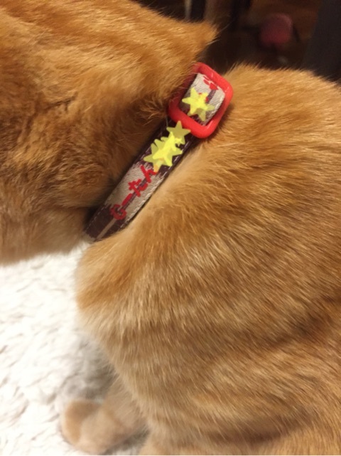 {EF2B7031-D6DD-4BF3-A6A7-19100169CC2C:01}