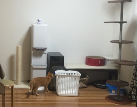 {6007DA58-788C-487F-8848-14A3FECA2F60:01}