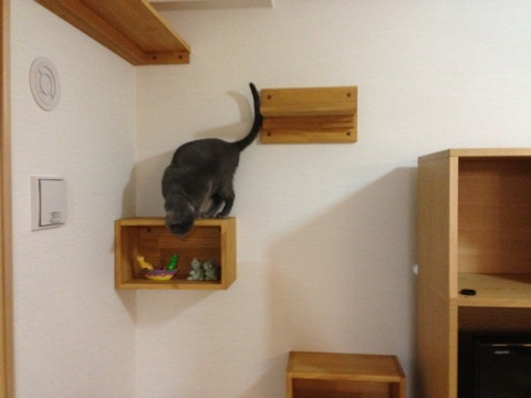 photo:09