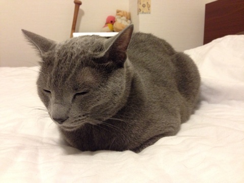 {FE389175-C05E-47A2-A010-9365212BE017:01}