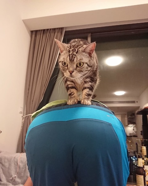 IMG_20190123_073440_982