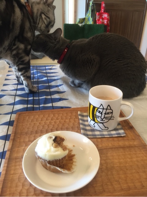 {F6681A1F-70EB-46EB-9BA9-F16CA7799245:01}