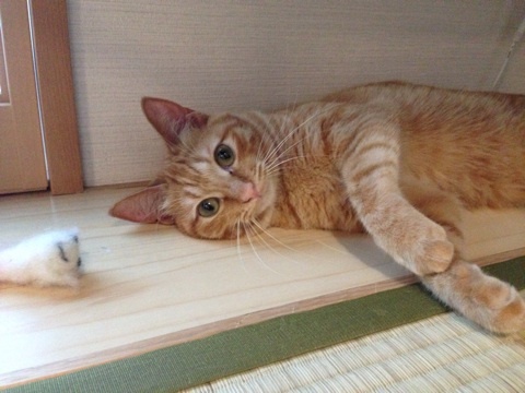 {77B5F5B8-BB04-4264-941E-740920D3EF8B:01}