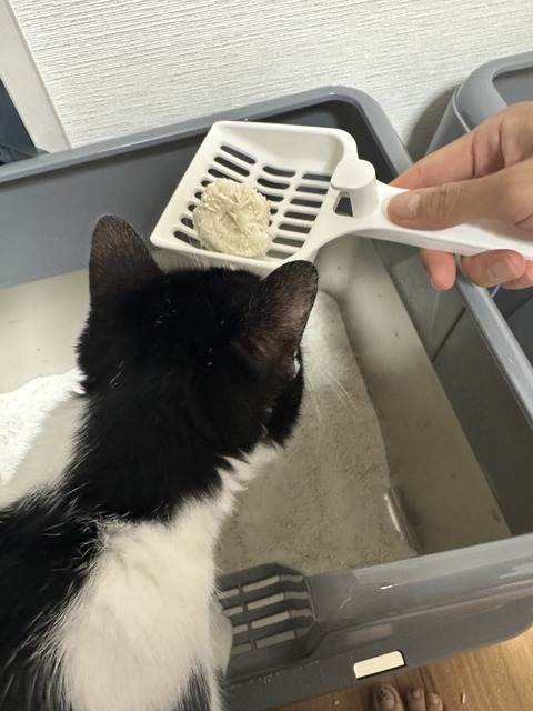 IMG_3358