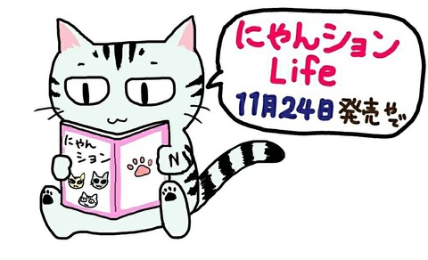 [画像:b745f8a2-s.jpg]