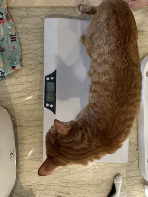 FullSizeRender