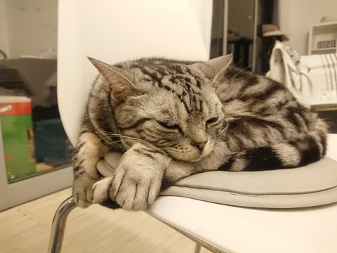 [画像:b9090ffd-s.jpg]