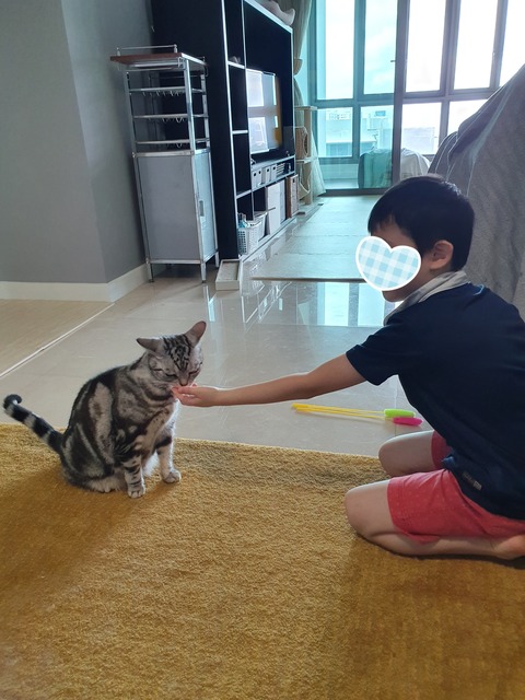 20-07-23-08-10-23-986_deco