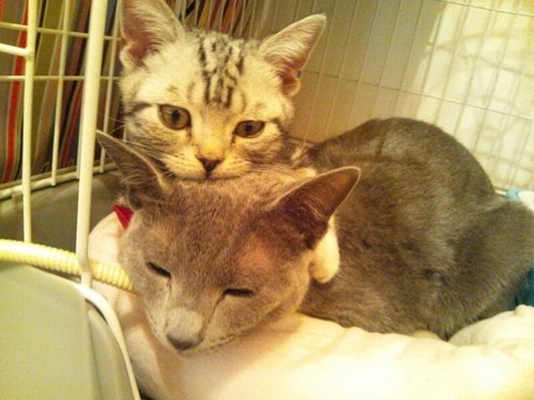 photo:05