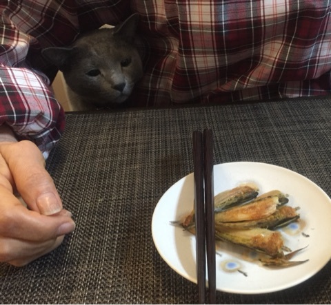 {97B6C0C5-BE74-497E-BD8E-6F24BD82E41F:01}