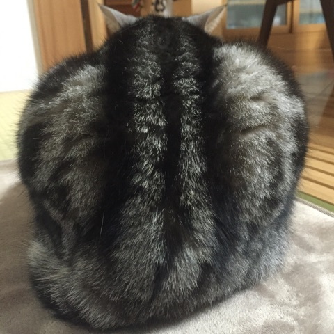 {42C755EB-6653-44CB-B908-B698A53CF9A8:01}