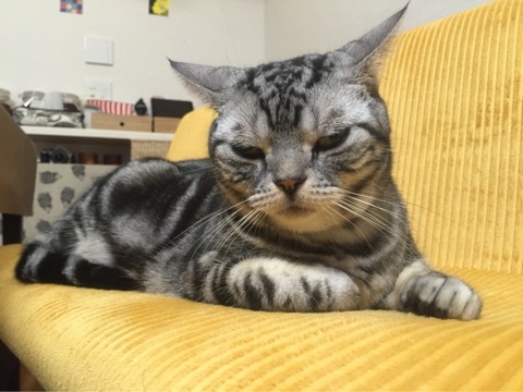 {A1FBDB62-706B-49C7-B108-9A08EA9B695D:01}