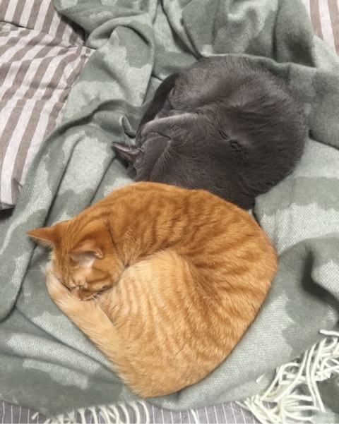 {3B0665E8-FBBA-4816-B8A9-9B0960BEC127:01}