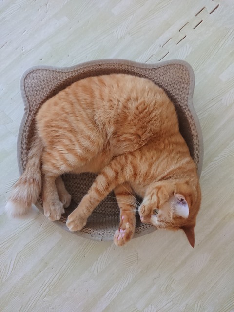 DSCPDC_0002_BURST20180323151257455