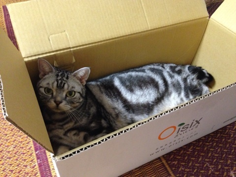 {55DE3FD4-D472-4A38-95FE-32E30754B880:01}