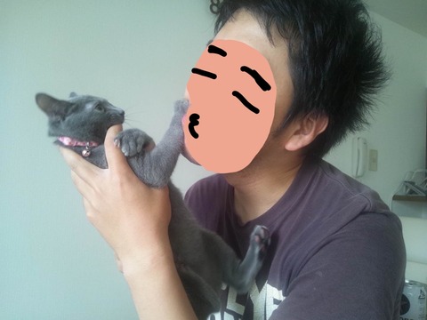 19-11-23-09-18-16-530_deco