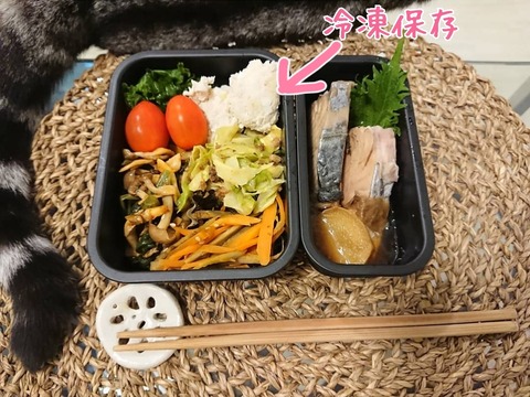 19-04-10-17-17-25-487_deco