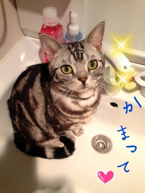 photo:01