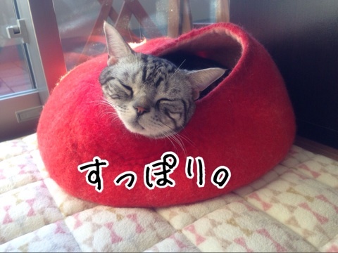 {F2CECB99-C55C-4C0D-8583-913C286BC39A:01}