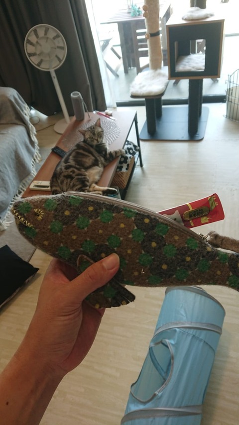 IMG-20190220-WA0006