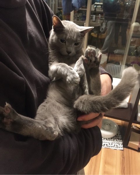 {6E61AB12-9EF7-4C7C-A94A-02C478CFE721:01}