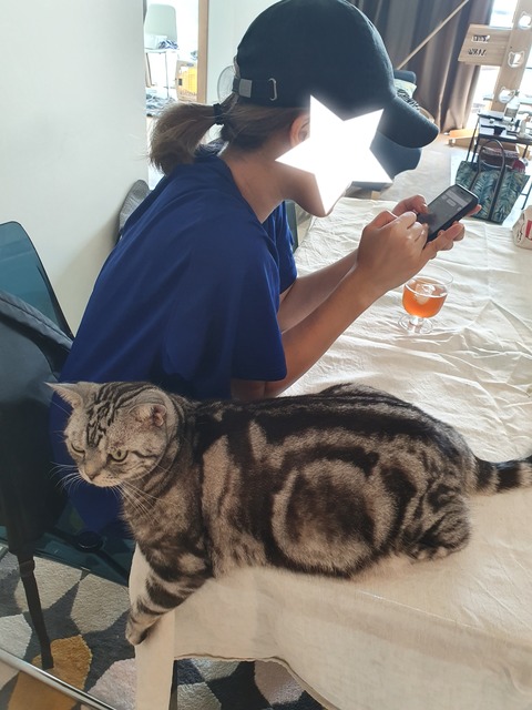 19-11-18-18-57-52-348_deco