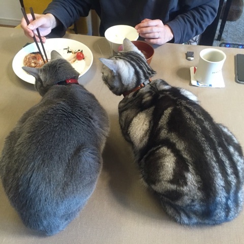 {7883E75F-9C69-45DB-8B75-D66B08FFEAEF:01}