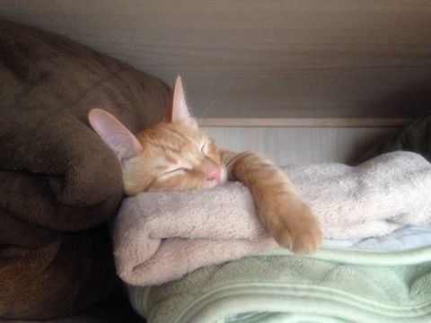 {3D701BFB-ABB3-43CD-9E7E-1D0705A07C4E:01}