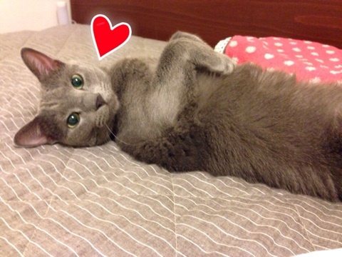 {AE3F7A31-FC7A-4E7B-951B-CE5228C44488:01}