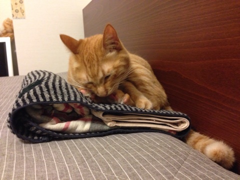 {69C021BD-D68B-4588-8978-A398AB152589:01}