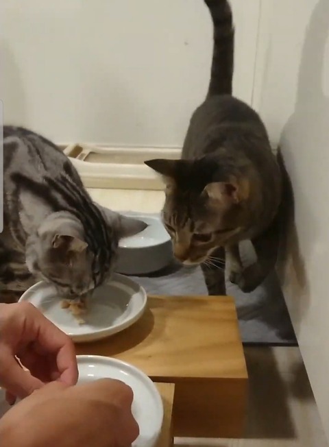 Screenshot_20191129-080320_Photos