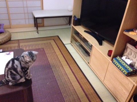 {B11E54FF-C1C0-4337-B814-E512F89AD861:01}