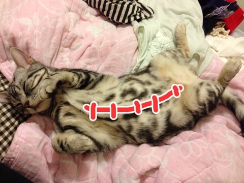 photo:03