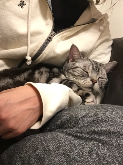 {7F8ECA38-8DEF-4E67-A32C-A395F28E2BDB:01}