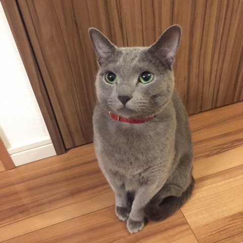 {0D35DB2A-A890-4B36-AB4E-8E05928F02A7:01}