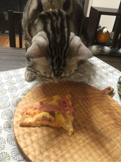 {FFAB86C6-0755-4B63-936D-A27B8339AF63:01}