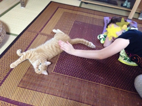 {103E502C-E6DB-4B2B-81A3-30A44EA09BE4:01}