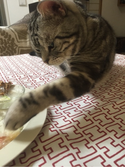 {C4868984-7F41-4EFE-BFA1-C27763208E70:01}