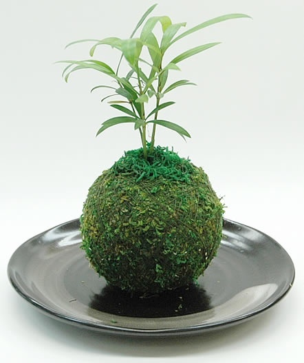 {74E484F1-95BD-46D1-8002-F541ACEDF7B6:01}