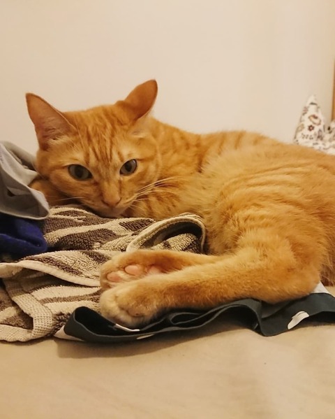 IMG_20181004_071916_726