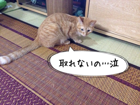 {C43A2E7A-D0B7-49C3-9483-998D27A2C623:01}