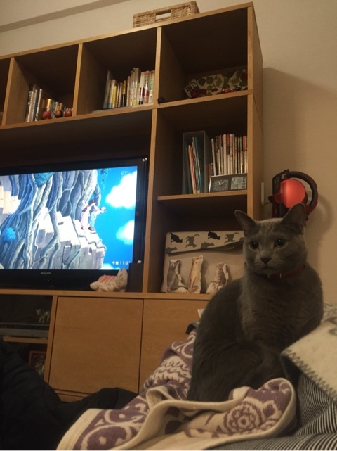 {2BF06835-D724-4F11-A324-B55AC37C2D65:01}