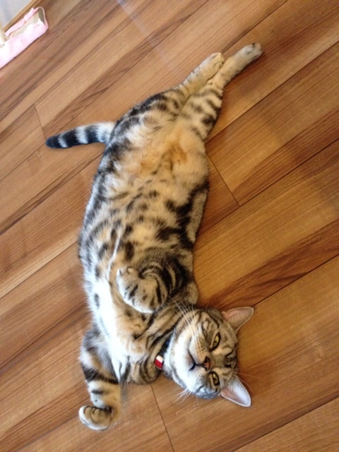 {76B8FBE2-4FCA-4E03-9E04-BDA8CD5E4234:01}