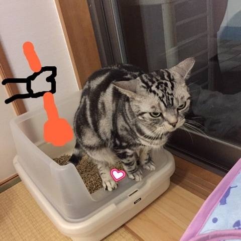 7983ca23