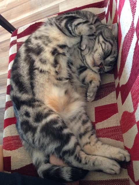 {2760C9D2-6133-46FA-8D2C-D26FB8A1B759:01}