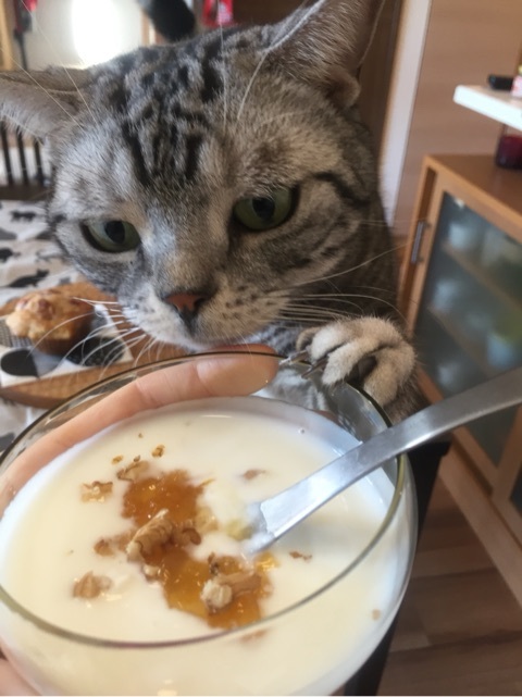 {80976767-CF3E-43C8-B03F-204538AE127B:01}