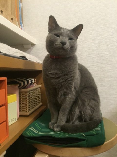 {601FE8C6-903A-40B9-B8A2-4892C19B02C6:01}