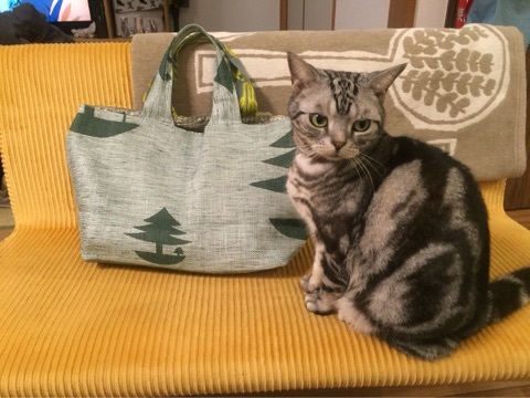 {F5B68941-ABE4-41A2-903F-9917E66D048B:01}