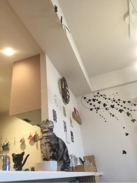 {1056E345-F6BD-4A11-9DF6-EA8AECAC914E:01}