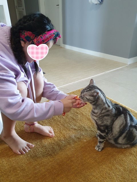 20-07-23-08-41-10-380_deco